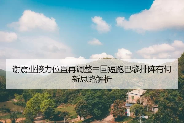 xie-zhen-ye-jie-li-wei-zhi-zai-tiao-zheng-zhong-guo-duan-pao-ba-li-pai-zhen-you-he-xin-si-lu-jie-xi-2-725.jpg