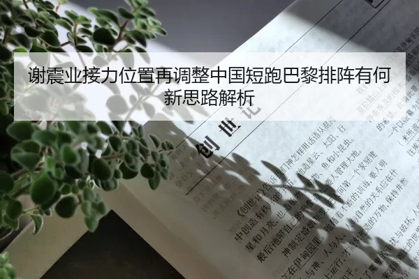 谢震业接力位置再调整中国短跑巴黎排阵有何新思路解析
