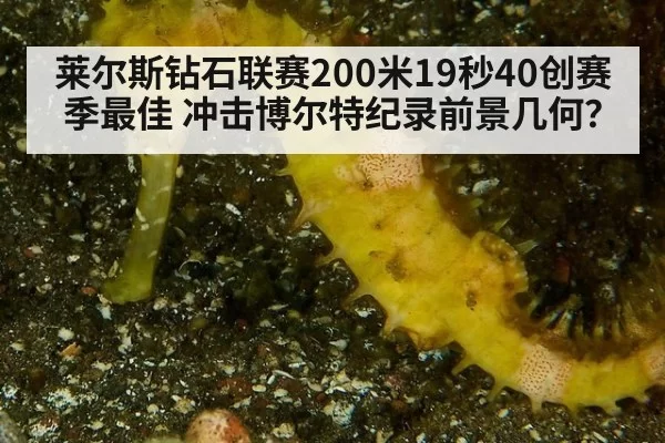 莱尔斯钻石联赛200米19秒40创赛季最佳 冲击博尔特纪录前景几何?