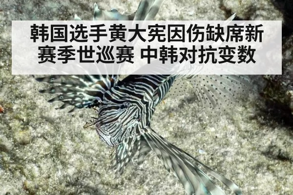 韩国选手黄大宪因伤缺席新赛季世巡赛 中韩对抗变数 | Yabo